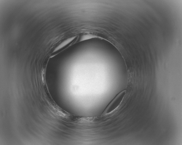 X0000078310094200611172226