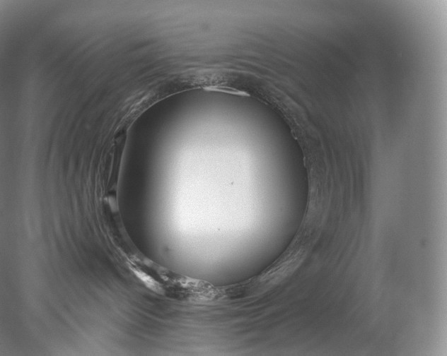 X0000078310096200611172226