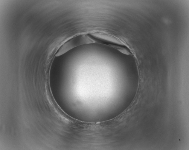 X0000078310097200611172225