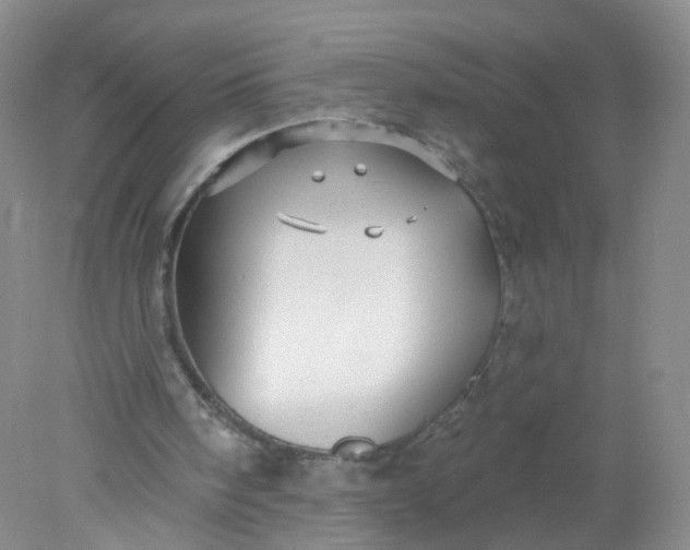 X0000078310098200611172225