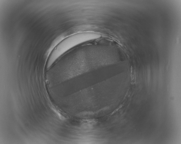 X0000078310099200611172225