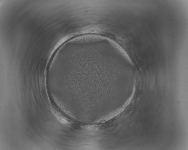 X0000078310100200611172225