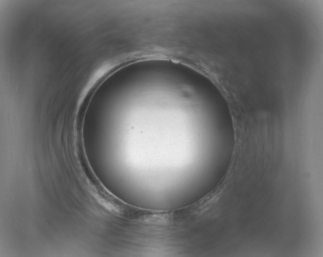 X0000078310102200611172225