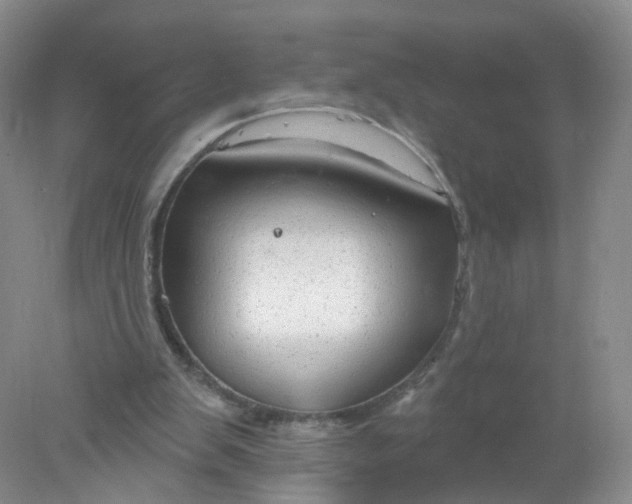 X0000078310103200611172225