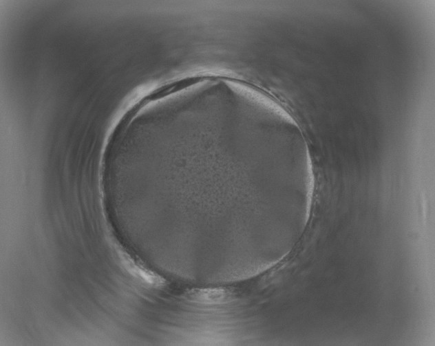 X0000078310104200611172225