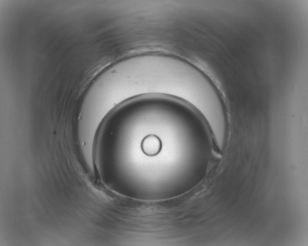 X0000078310105200611172225