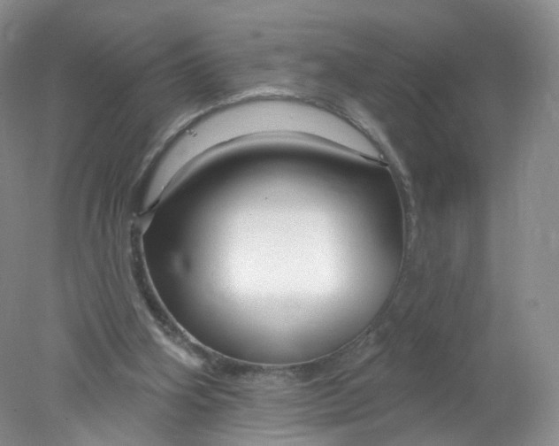 X0000078310106200611172225