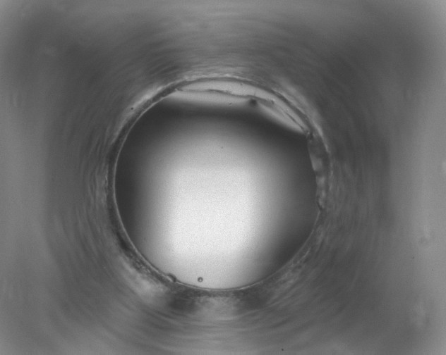 X0000078310107200611172225