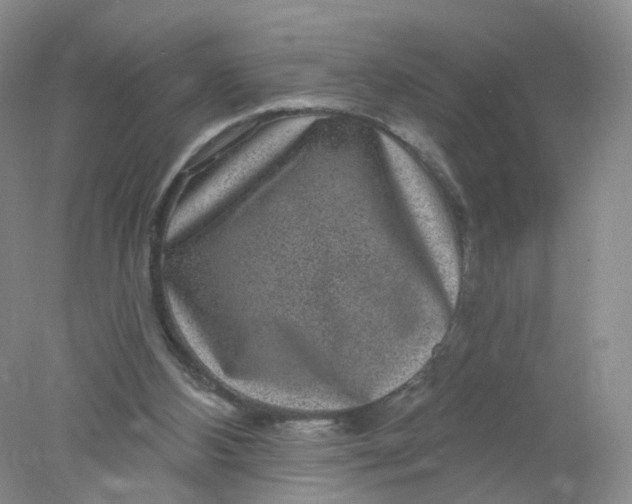 X0000078310108200611172225