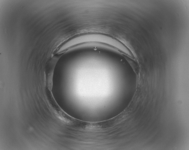 X0000078310109200611172225