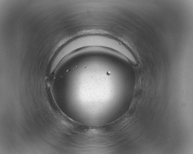 X0000078310111200611172225