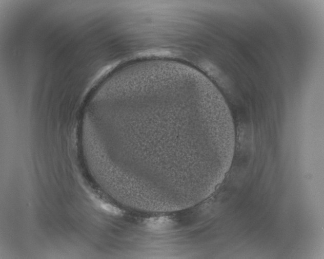 X0000078310112200611172225