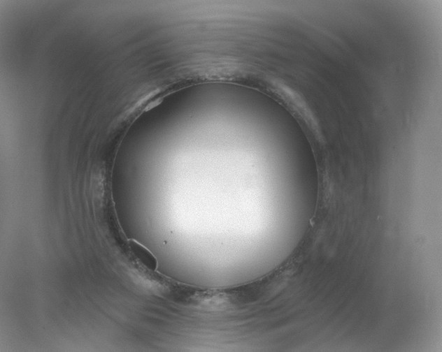 X0000078310113200611172225