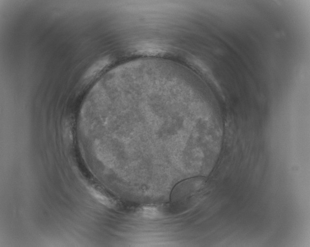 X0000078310114200611172225