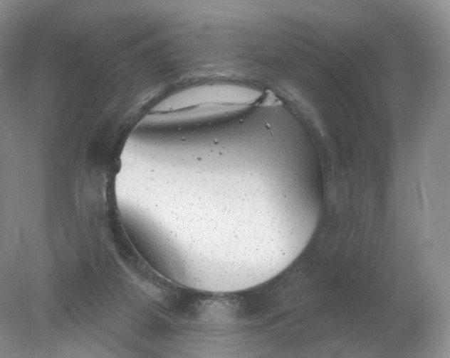 X0000078310115200611172225