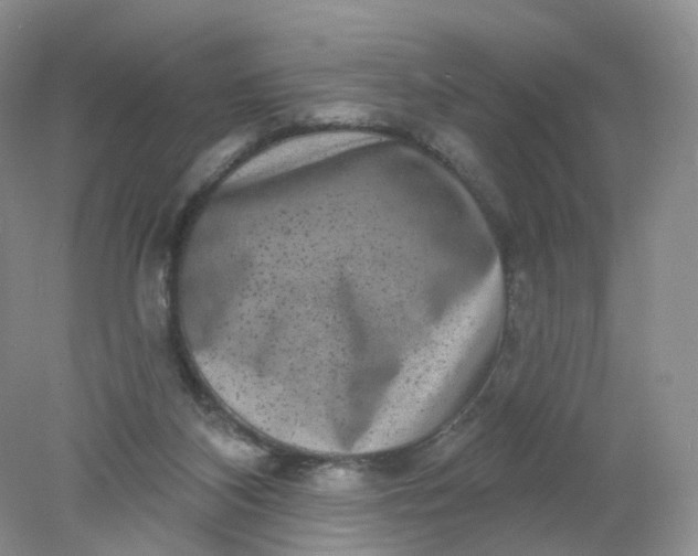 X0000078310116200611172225