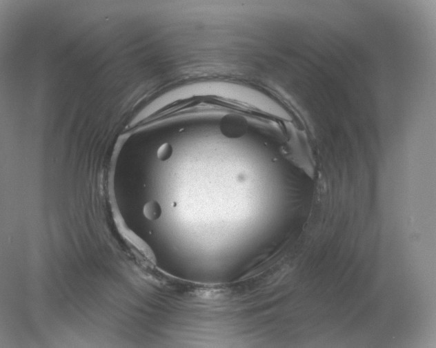 X0000078310117200611172225