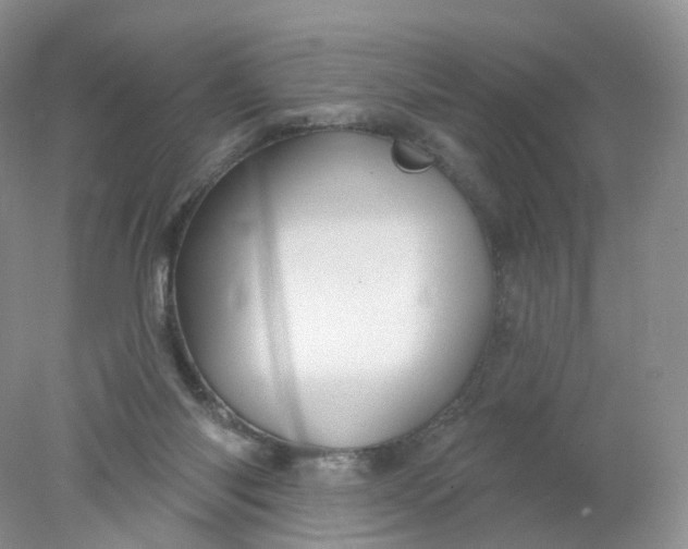 X0000078310118200611172225