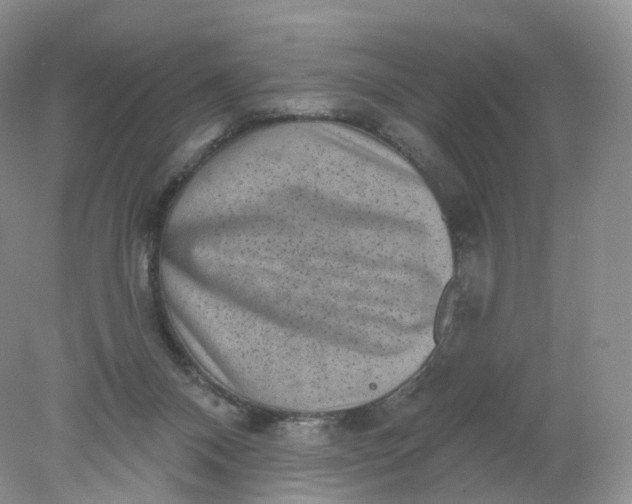 X0000078310120200611172225