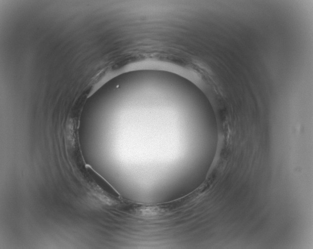 X0000078310121200611172225