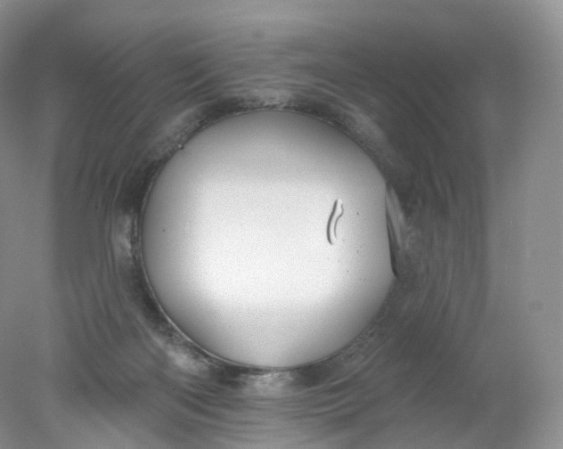 X0000078310122200611172225