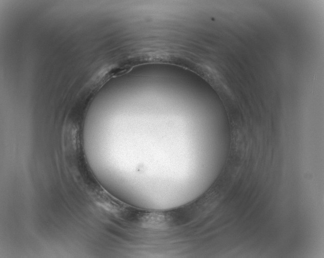 X0000078310123200611172225