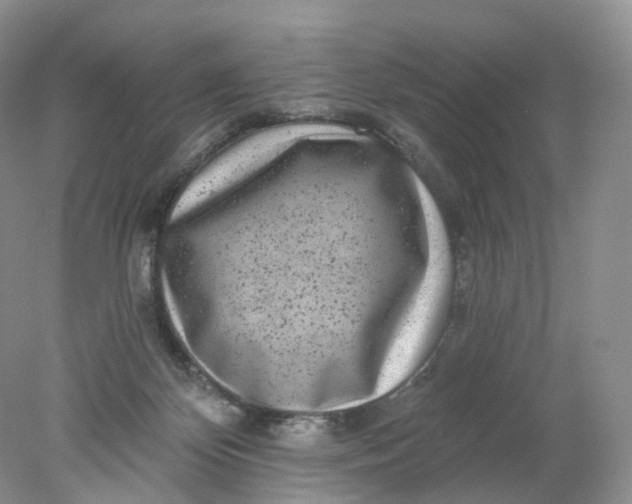 X0000078310124200611172225