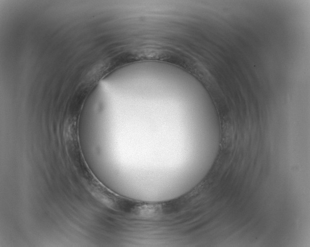 X0000078310126200611172225