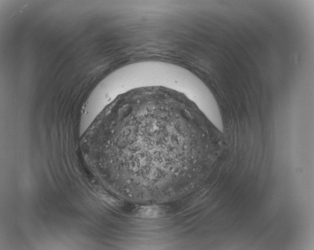 X0000078310127200611172225