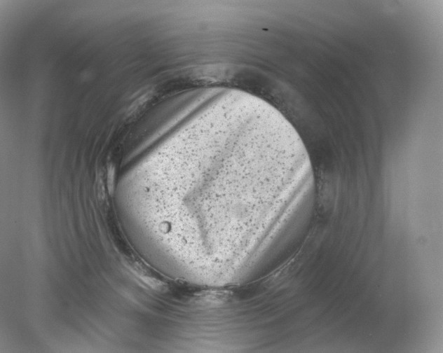 X0000078310128200611172225