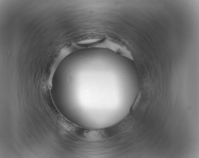 X0000078310129200611172225