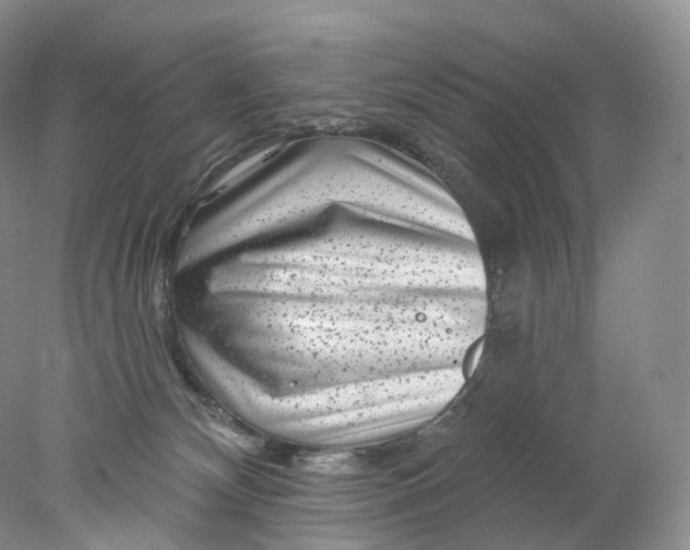 X0000078310132200611172224