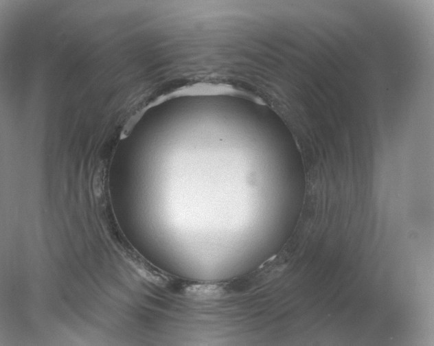 X0000078310133200611172224