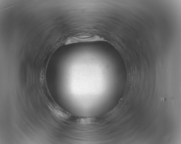 X0000078310134200611172224