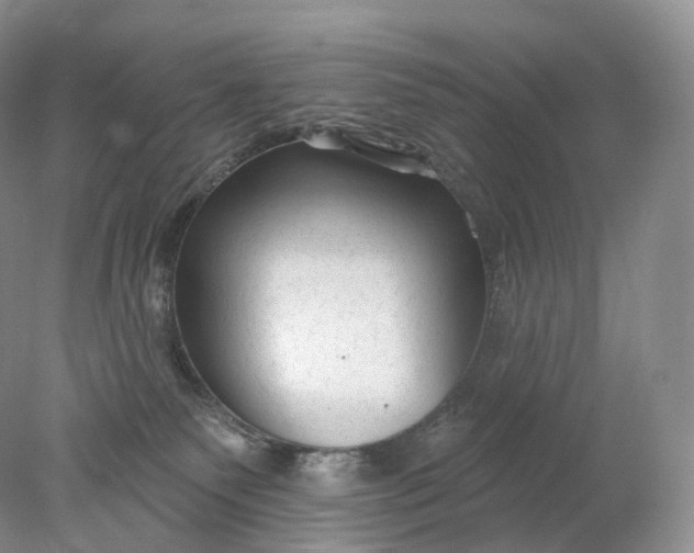 X0000078310135200611172224