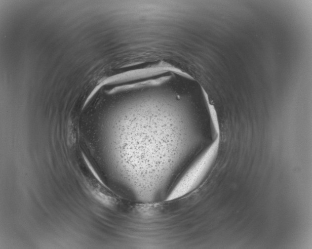 X0000078310136200611172224