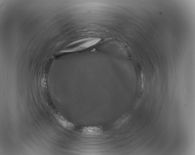 X0000078310137200611172224