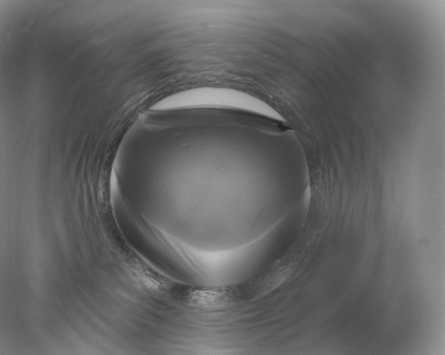 X0000078310139200611172224