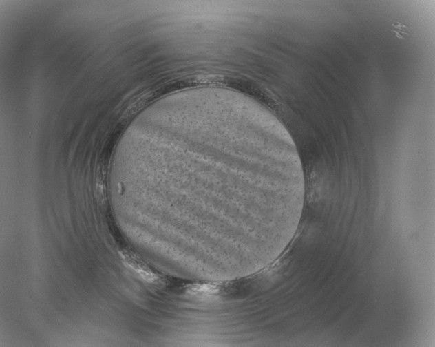 X0000078310140200611172224