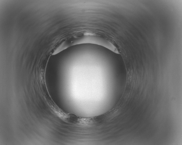 X0000078310141200611172224