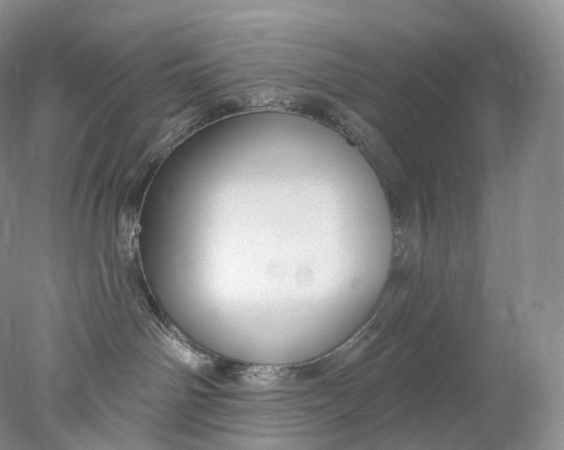 X0000078310142200611172224