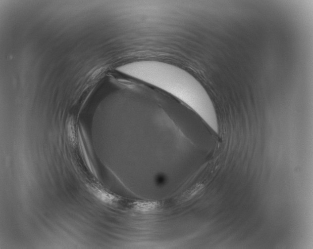 X0000078310143200611172224