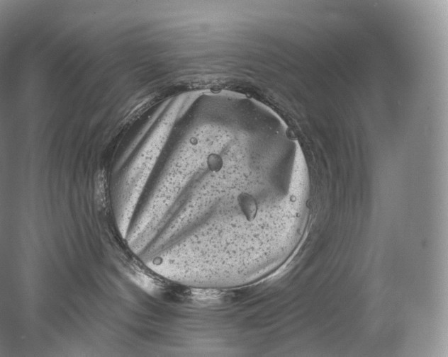 X0000078310144200611172224