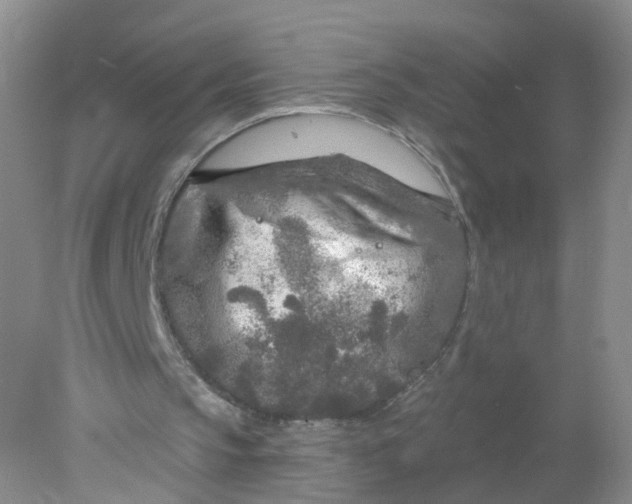 X0000078310145200611172223