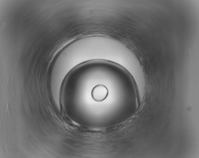 X0000078310146200611172223