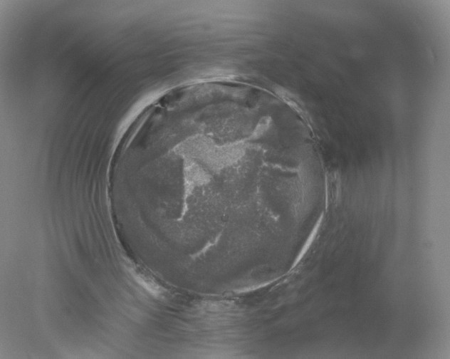 X0000078310147200611172224