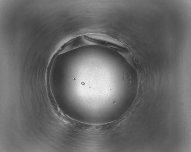 X0000078310148200611172224