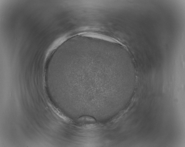 X0000078310149200611172224