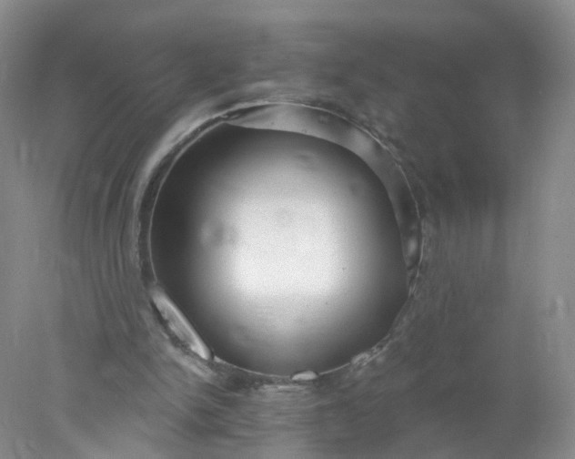 X0000078310150200611172224