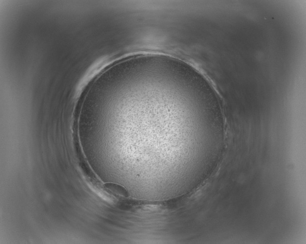 X0000078310151200611172224